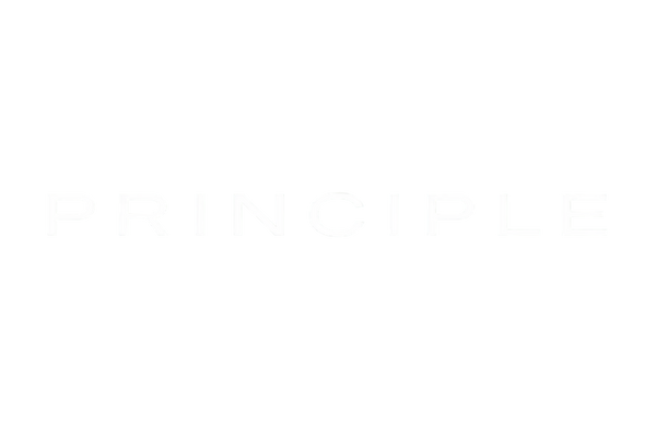 PRINCIPLE